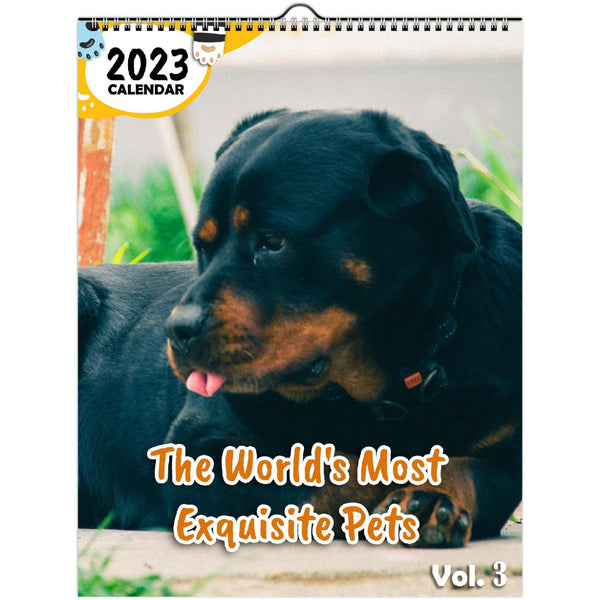 The World's Most Exquisite Pets Volume Three: 2023 Wall Calendar