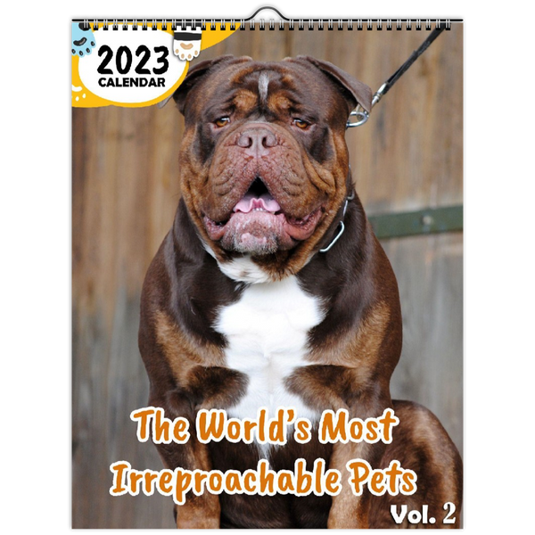 The World's Most Irreproachable Pets Volume Two: 2023 Wall Calendar