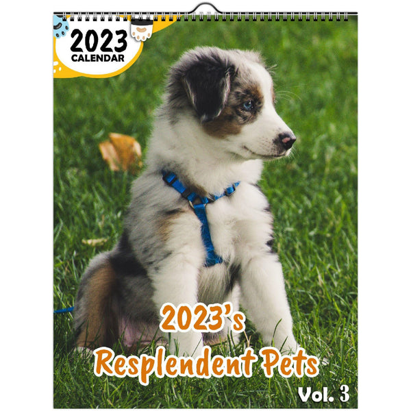 2023's Resplendent Pets Volume Three: 2023 Wall Calendar