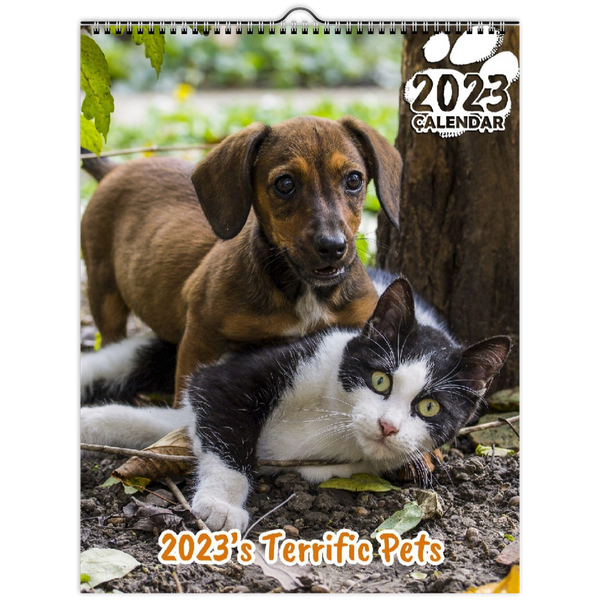 2023's Terrific Pets: 2023 Wall Calendar