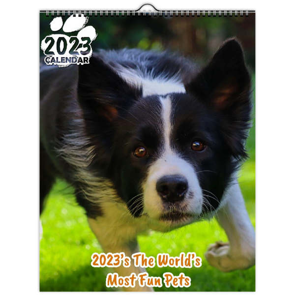 2023's The World's Most Fun Pets: 2023 Wall Calendar
