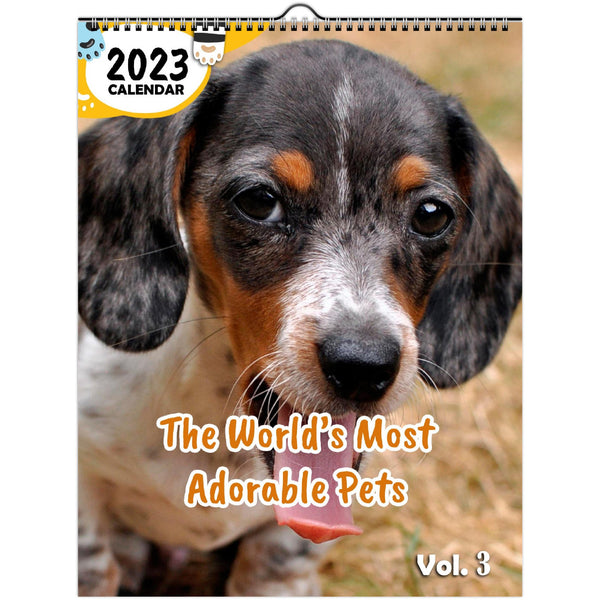 The World's Most Adorable Pets Volume Three: 2023 Wall Calendar