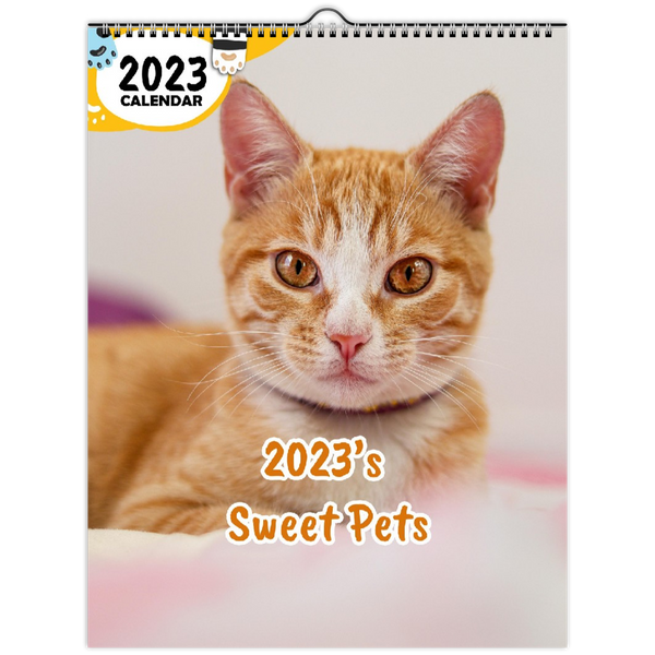 2023's Sweet Pets: 2023 Wall Calendar