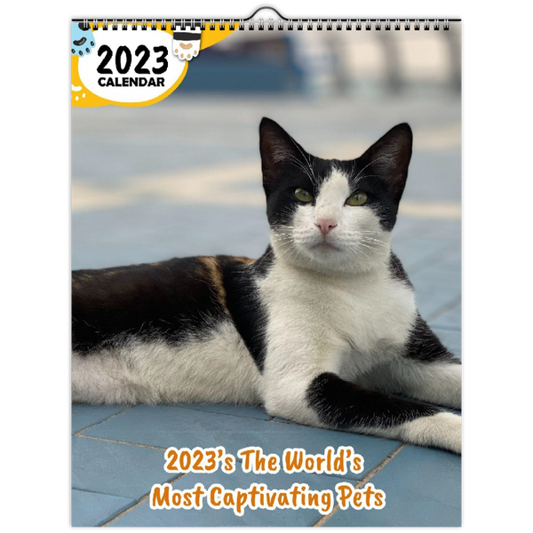 2023's The World's Most Captivating Pets: 2023 Wall Calendar