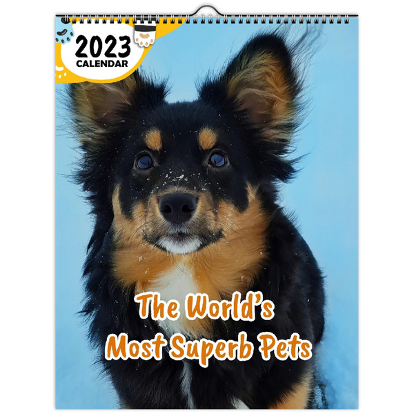 The World's Most Superb Pets: 2023 Wall Calendar