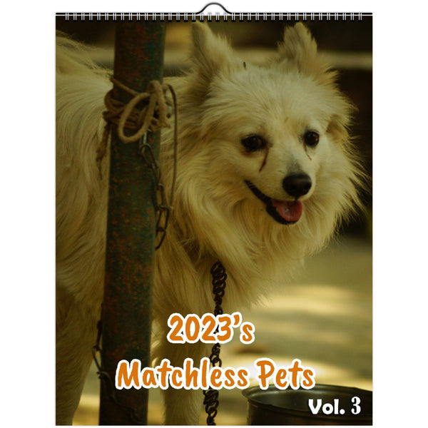 2023's Matchless Pets Volume Three: 2023 Wall Calendar