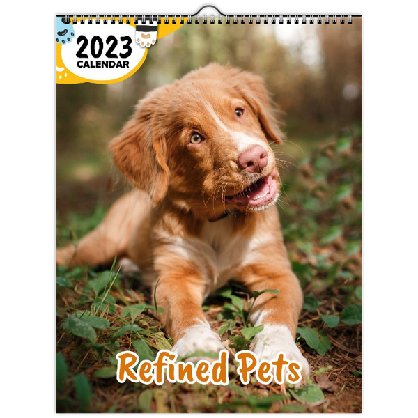 Refined Pets: 2023 Wall Calendar