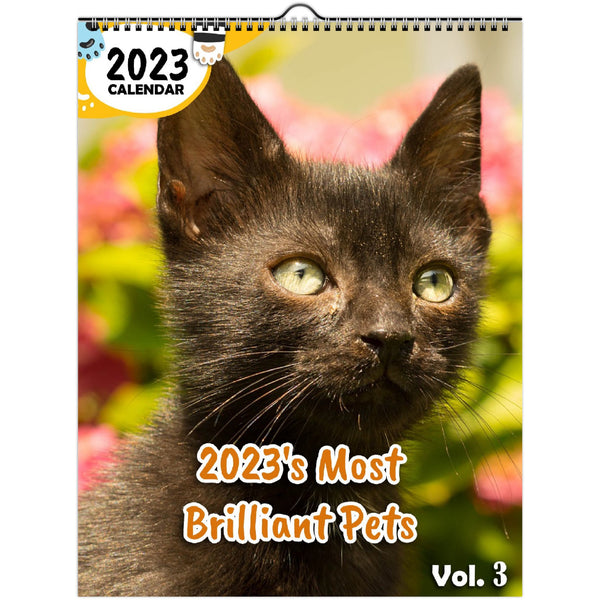 2023's Most Brilliant Pets Volume Three: 2023 Wall Calendar
