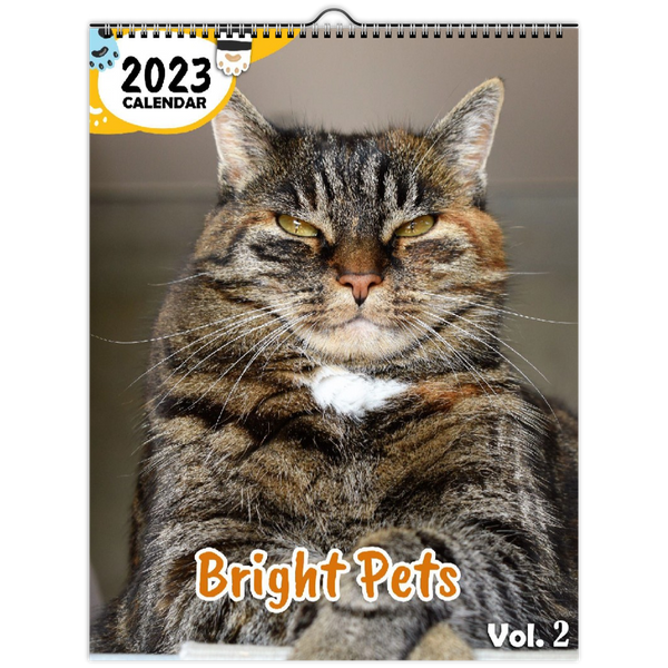 Bright Pets Volume Two: 2023 Wall Calendar