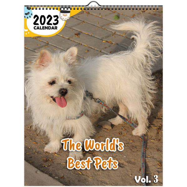 The World's Best Pets Volume Three: 2023 Wall Calendar
