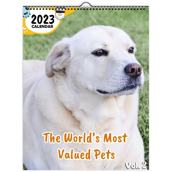 The World's Most Valued Pets Volume Two: 2023 Wall Calendar
