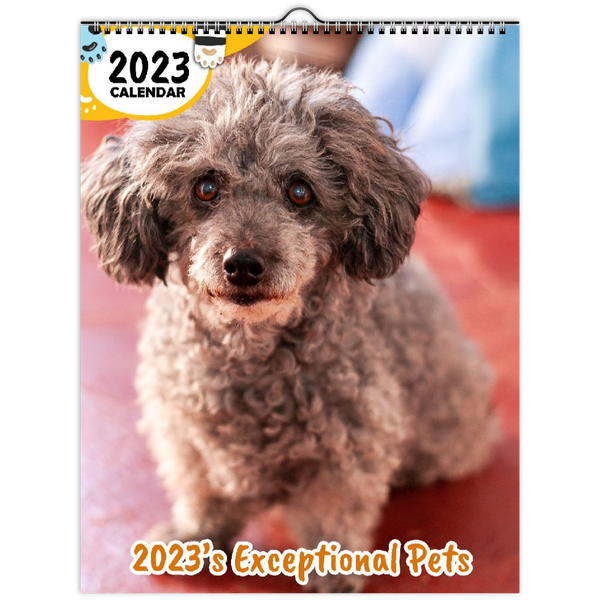 2023's Exceptional Pets: 2023 Wall Calendar
