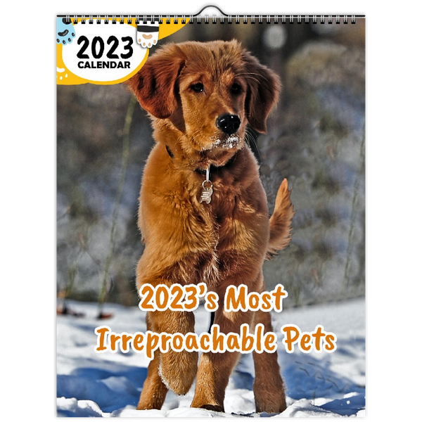 2023's Most Irreproachable Pets: 2023 Wall Calendar