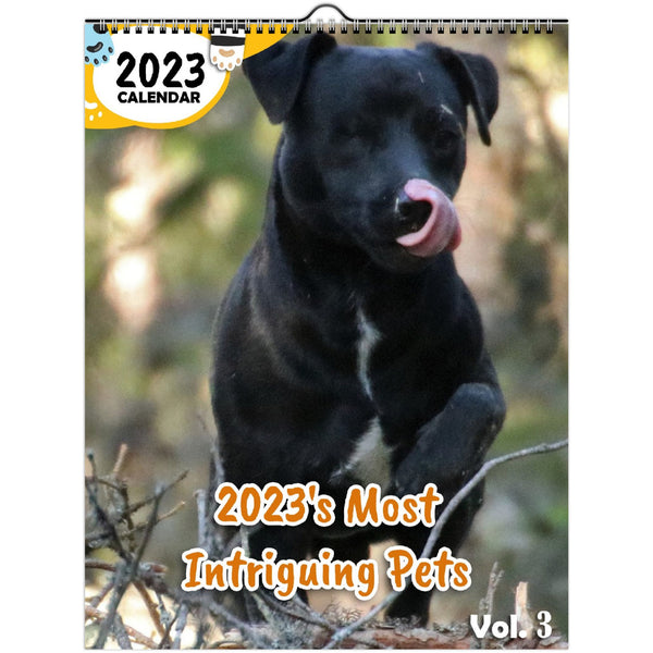 2023's Most Intriguing Pets Volume Three: 2023 Wall Calendar