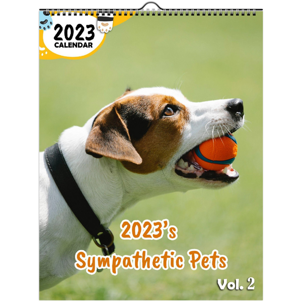 2023's Sympathetic Pets Volume Two: 2023 Wall Calendar
