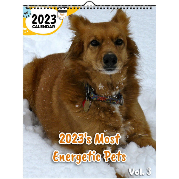 2023's Most Energetic Pets Volume Three: 2023 Wall Calendar