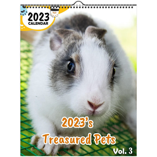 2023's Treasured Pets Volume Three: 2023 Wall Calendar