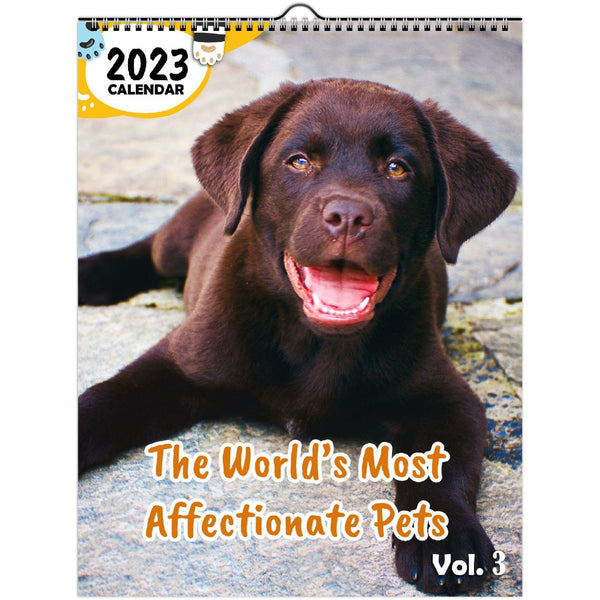 The World's Most Affectionate Pets Volume Three: 2023 Wall Calendar
