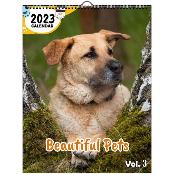 Beautiful Pets Volume Three: 2023 Wall Calendar