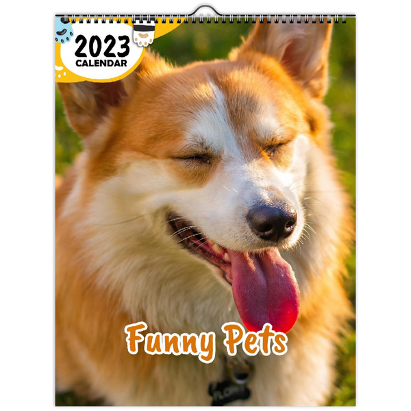 Funny Pets: 2023 Wall Calendar