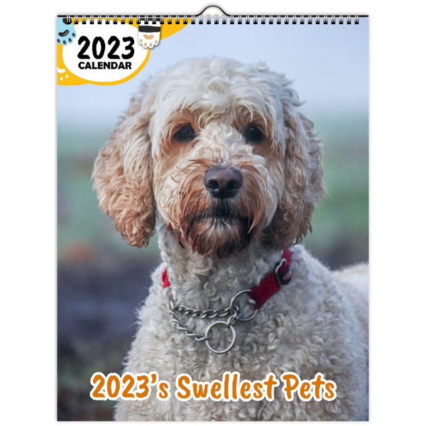 2023's Swellest Pets: 2023 Wall Calendar