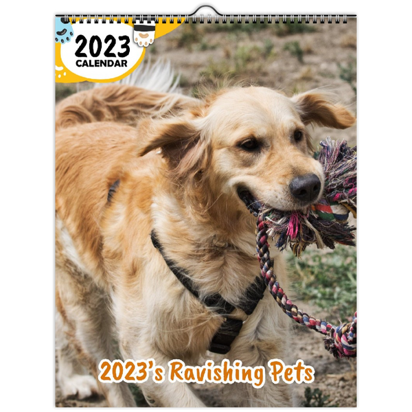 2023's Ravishing Pets: 2023 Wall Calendar