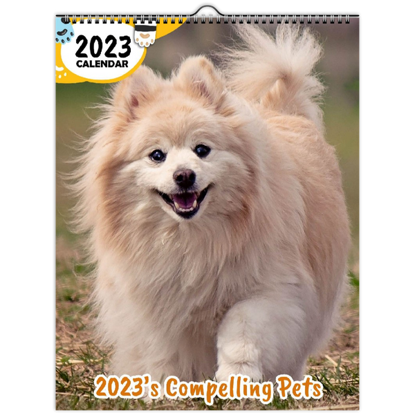2023's Compelling Pets: 2023 Wall Calendar