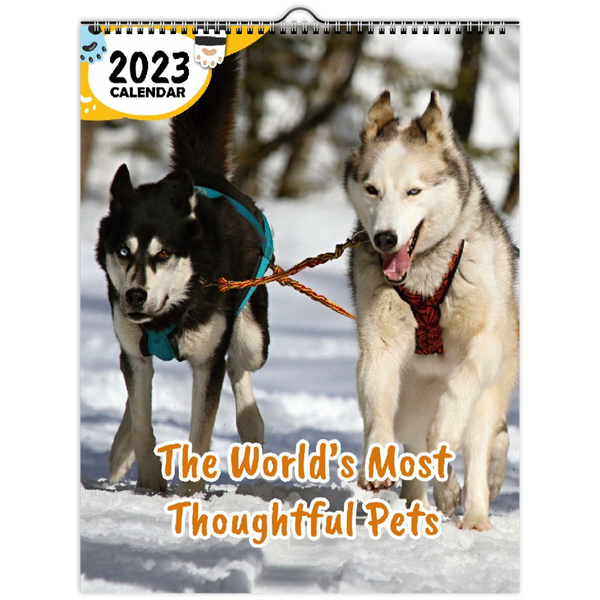 The World's Most Thoughtful Pets: 2023 Wall Calendar