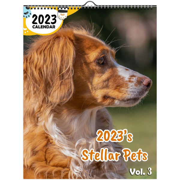 2023's Stellar Pets Volume Three: 2023 Wall Calendar