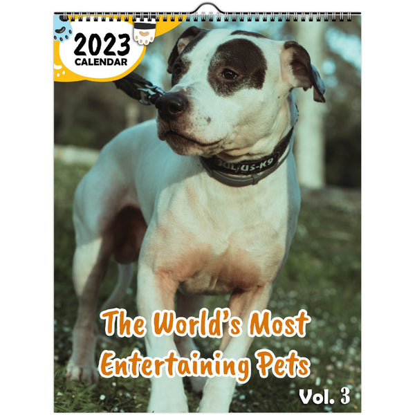 The World's Most Entertaining Pets Volume Three: 2023 Wall Calendar