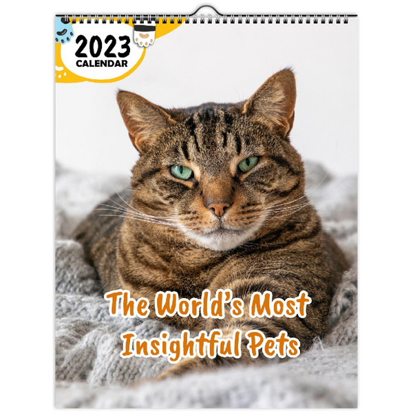 The World's Most Insightful Pets: 2023 Wall Calendar