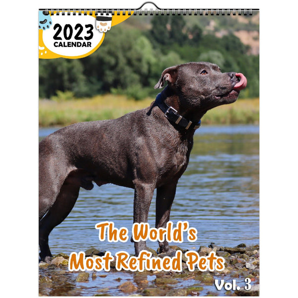 The World's Most Refined Pets Volume Three: 2023 Wall Calendar