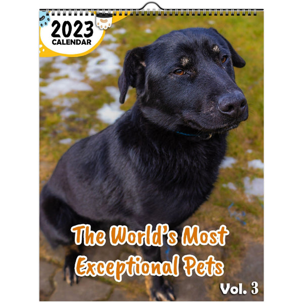 The World's Most Exceptional Pets Volume Three: 2023 Wall Calendar