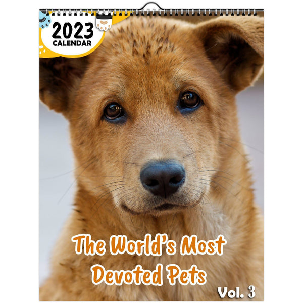 The World's Most Devoted Pets Volume Three: 2023 Wall Calendar