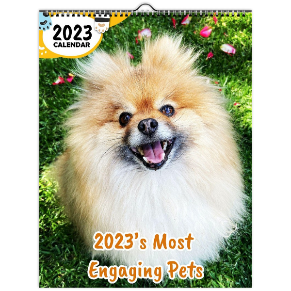 2023's Most Engaging Pets: 2023 Wall Calendar