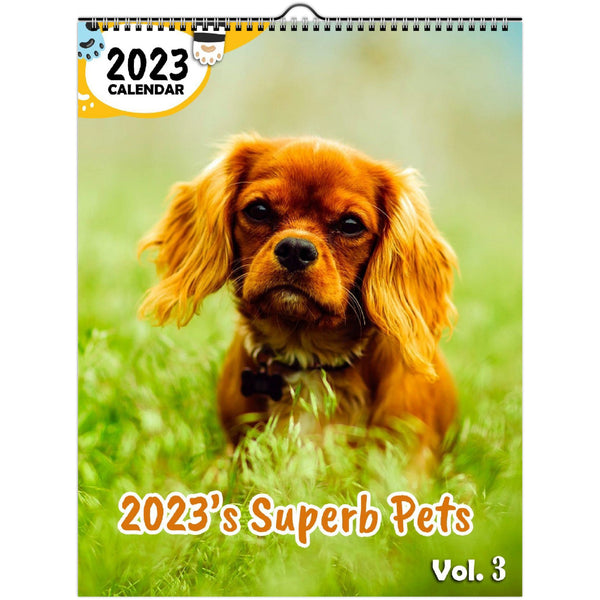2023's Superb Pets Volume Three: 2023 Wall Calendar