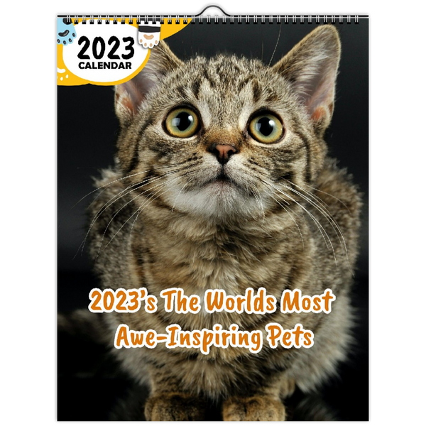2023's The World's Most Awe-Inspiring Pets: 2023 Wall Calendar