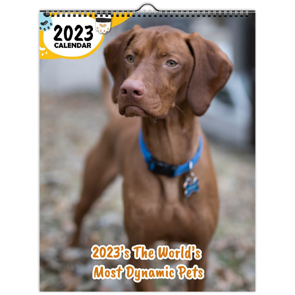 2023's The World's Most Dynamic Pets: 2023 Wall Calendar