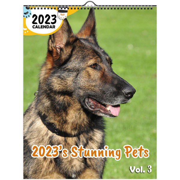 2023's Stunning Pets Volume Three: 2023 Wall Calendar
