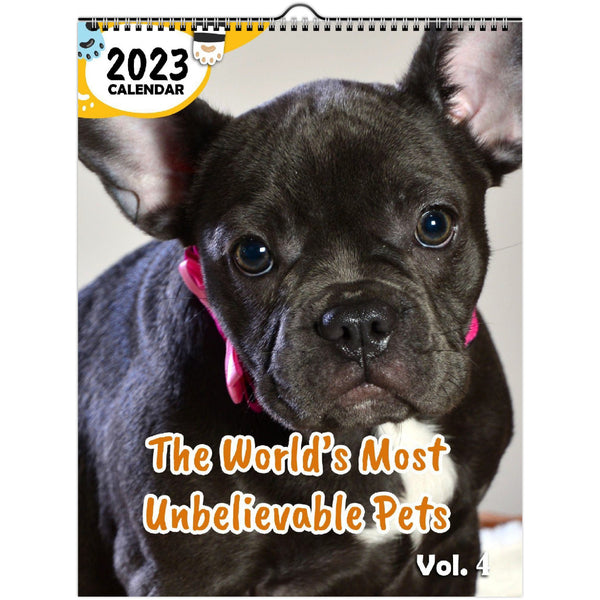 The World's Most Unbelievable Pets Volume Four: 2023 Wall Calendar
