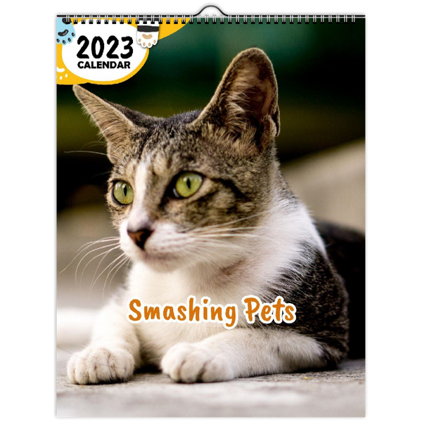 Smashing Pets: 2023 Wall Calendar