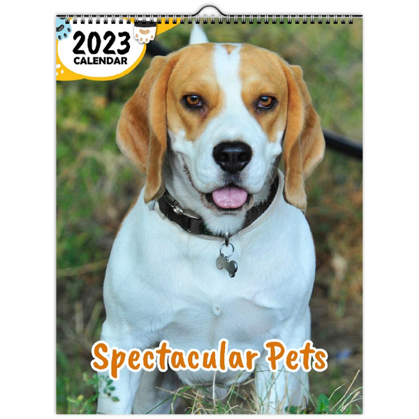 Spectacular Pets: 2023 Wall Calendar