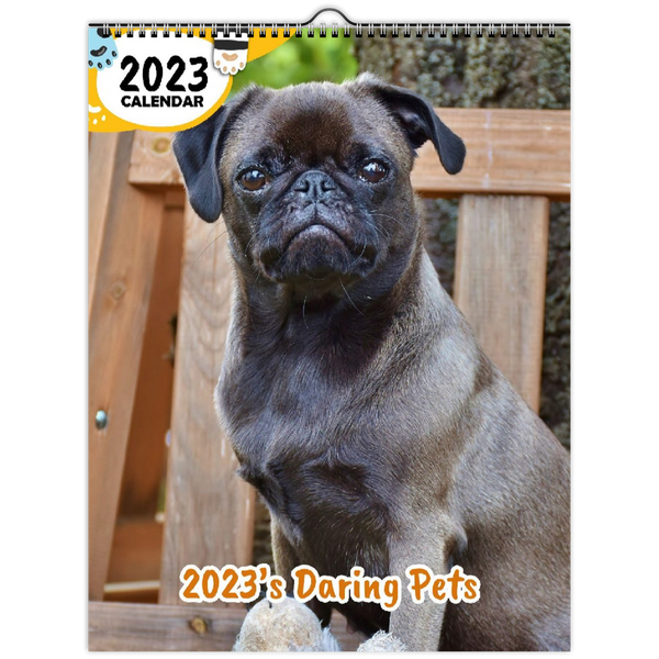 2023's Daring Pets: 2023 Wall Calendar