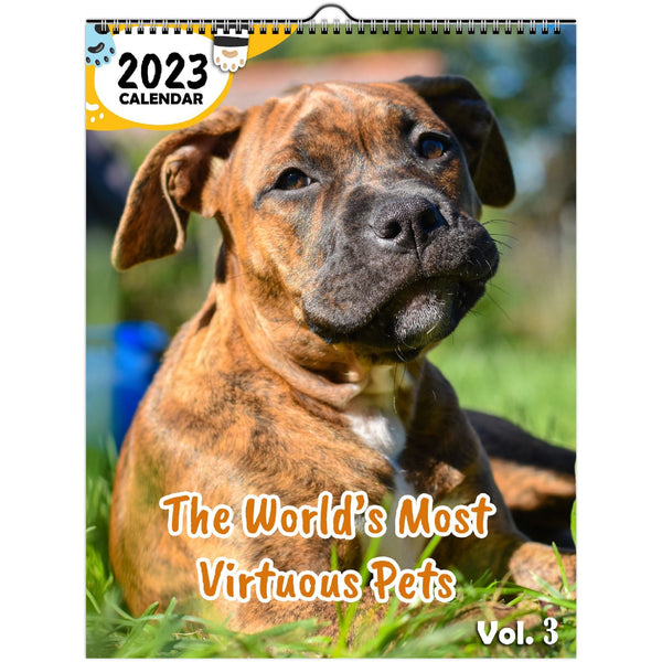 The World's Most Virtuous Pets Volume Three: 2023 Wall Calendar