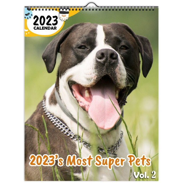 2023's Most Super Pets Volume Two: 2023 Wall Calendar