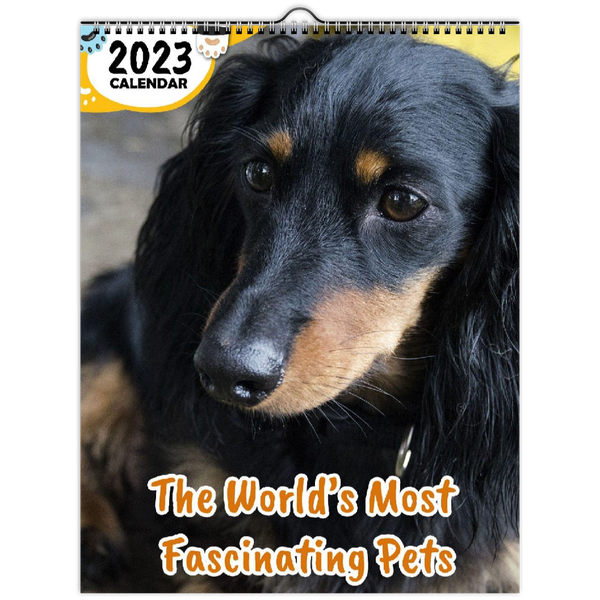 The World's Most Fascinating Pets: 2023 Wall Calendar