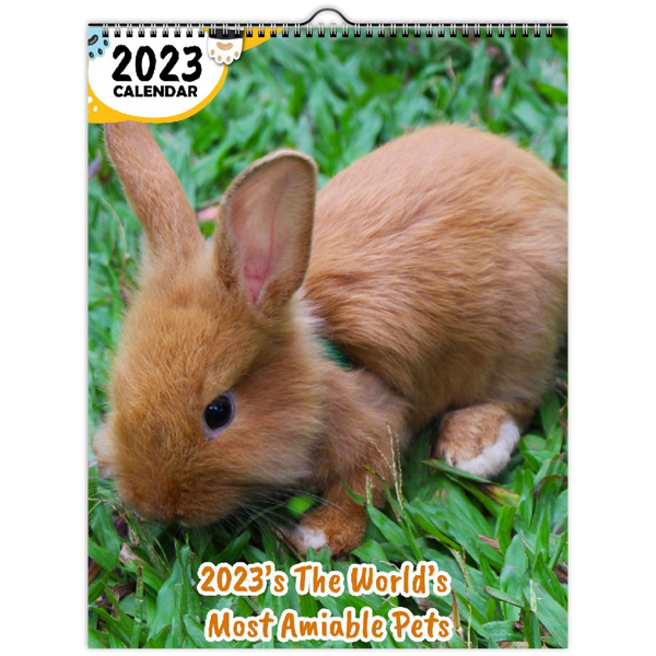 2023's The World's Most Amiable Pets: 2023 Wall Calendar