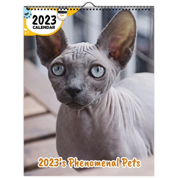 2023's Phenomenal Pets: 2023 Wall Calendar
