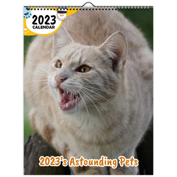 2023's Astounding Pets: 2023 Wall Calendar