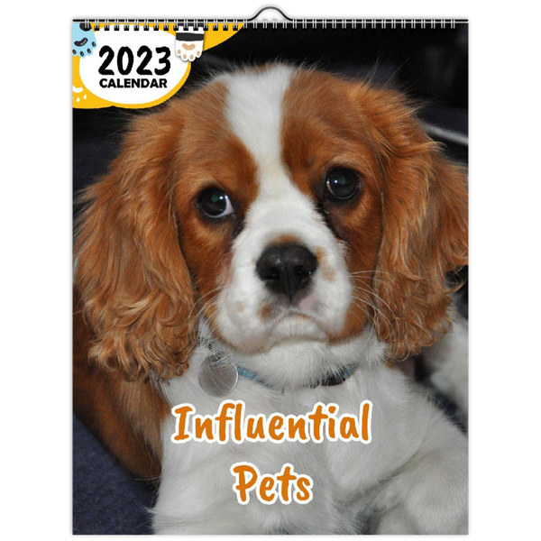 Influential Pets: 2023 Wall Calendar